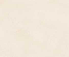 Керамогранит ELNM Pigmento Crema Silktech R10 Rett 120x120