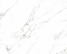 Керамогранит Statuario Castork Glossy 120х278