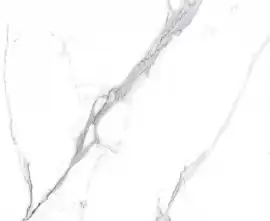 Керамогранит Calacatta Splendid Silver Белый Матовый 60х60