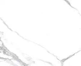 Керамогранит Calacatta Splendid Silver Белый Матовый 60х120