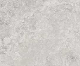 Керамогранит 141142 Mythology Regia Silver Brushed Rect 60x120