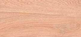 Керамогранит Ariana Wood Brown Matt 20x120