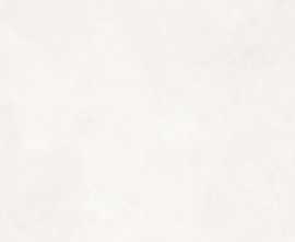 Керамогранит Super White Carving 60x120