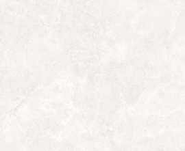 Керамогранит Sandstar Bianco Carving 60x120