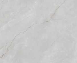 Керамогранит Astonia Silver Glossy Silver Line 60x120