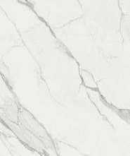 Керамогранит PF610598 Statuario Premium Lux 120x280
