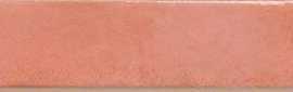 Керамогранит J92080 Colors Salmon 4,8x45