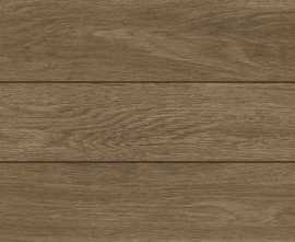 Керамогранит Forest Atlas Honey 31x93