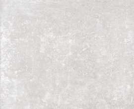 Керамогранит J92103 Windsor White Rett 60x120