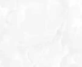 Керамогранит Onyx Classic White Sugar Polished 60x120