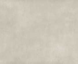 Керамогранит Raw Bianco Punch 60x120