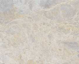 Керамогранит JNB3 Versilia Fiorito Ivory Flute 3D Silk RT 60x120