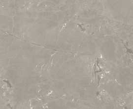 Керамогранит Neeko Taupe 60x120