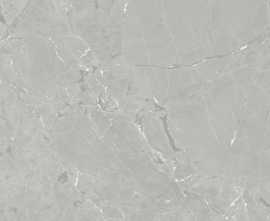 Керамогранит Neeko Grey 60x120