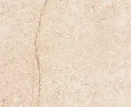 Керамогранит G302МR Shunut Beige 60x60