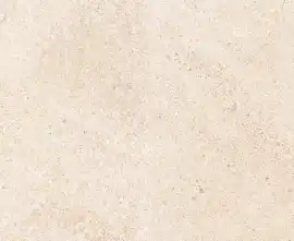 Керамогранит G302PR Shunut Beige 60x60