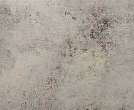 Керамогранит Evolution Gris 49.1x98.2
