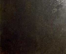 Керамогранит EVOLUTION BRONCE 49.1x49.1