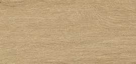 Керамогранит fPVZ ROOTS HONEY MATT R9 20х120