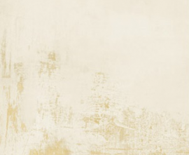 Керамогранит IVORY NATURAL 49,75X99,55