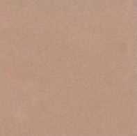 Керамогранит L4404-1Ch Caramel - Loose 10х10
