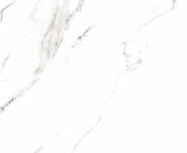 Керамогранит 2090417 Statuario Grigio Lucido 9mm 120x120