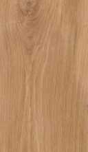 Керамогранит FR04 Forest Mild неполированный 19,4х120