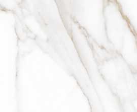 Керамогранит 010400001264 Extra white белый PG 01 60х60