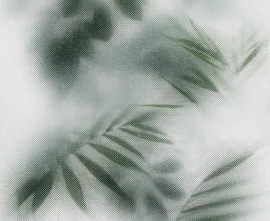 Керамогранит PF60010092 Art Walls Beyond Lux R 120x280