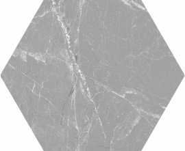 Керамогранит Cosmo Hex Silver 20x24