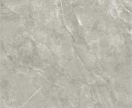 Керамогранит 2666 Nismo Grey polish 60x120