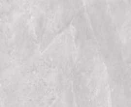 Керамогранит 2614 Earth Light grey polish 60x120