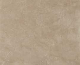 Керамогранит Reness Gold 60*60