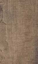 Керамогранит J87749 Aspen Brown 15x100