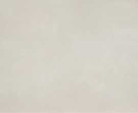 Керамогранит 11720026 R-Evolution Total White 9mm 60x120