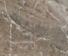 Керамогранит 240066 MARBLE GRIGIO ONICE Lap 58,5x117,5