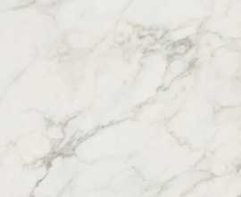 Керамогранит 57651 Statuario Lapp.Rett. 80x80