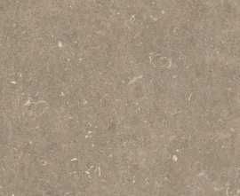 Керамогранит 785506 Rinascenza Arena Pietra Grip 20mm 120x120