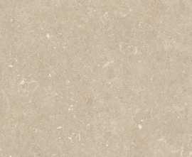 Керамогранит 785505 Rinascenza Arena Conchiglia Grip 20mm 120x120