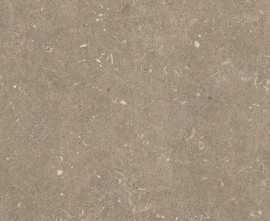 Керамогранит 785482 Rinascenza Arena Pietra Matte 60x120