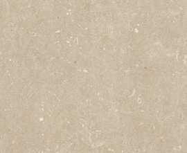 Керамогранит 785481 Rinascenza Arena Conchiglia Matte 60x120