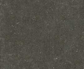 Керамогранит 785585 Rinascenza Arena Platino Matte 6mm 120x240