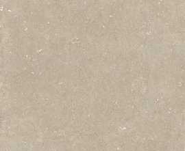 Керамогранит 785583 Rinascenza Arena Conchiglia Matte 6mm 120x240