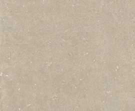 Керамогранит 785579 Rinascenza Arena Conchiglia Matte 6mm 120x120