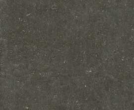 Керамогранит 785573 Rinascenza Arena Platino Matte 6mm 120x280