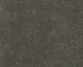 Керамогранит 785581 Rinascenza Arena Platino Matte 6mm 120x120