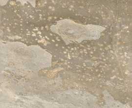 Керамогранит Bali Sand In&Out 60x60