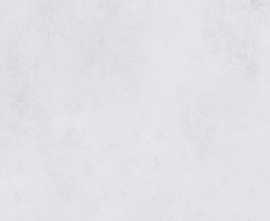 Керамогранит SI006012N Silent Grey 60х120