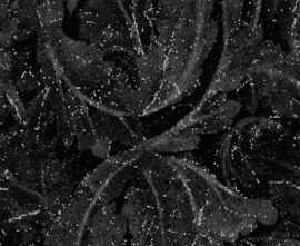 Керамогранит EHAS Acanto Calacatta Black Lapp Rett. 6.5mm 120x278