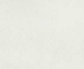 Керамогранит 786004 SensiColore Bianco Glossy 5,7x23,2